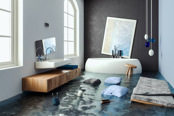 Best Mold removal after water damage  in Passaic, NJ