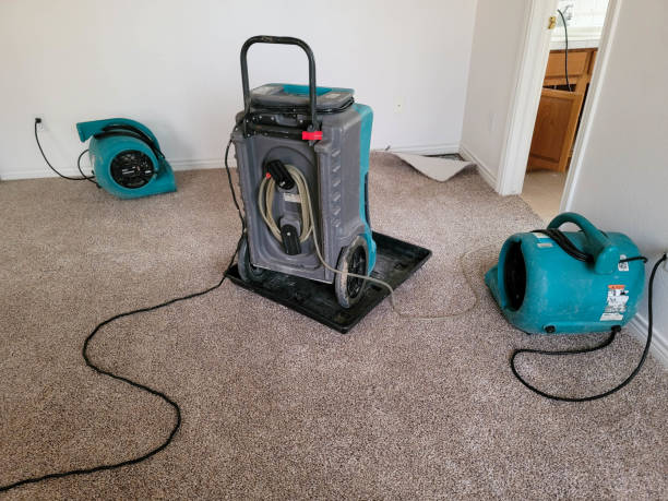Best Flooded house restoration  in Passaic, NJ