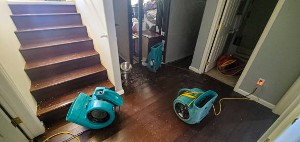 Best Water damage restoration mold remediation  in Passaic, NJ