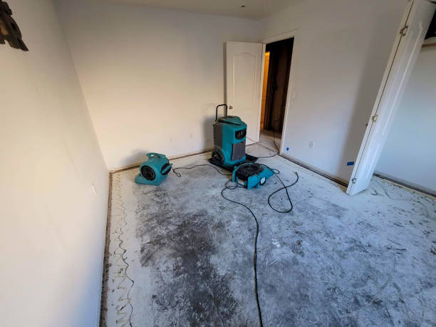 Best Mold removal after water damage  in Passaic, NJ