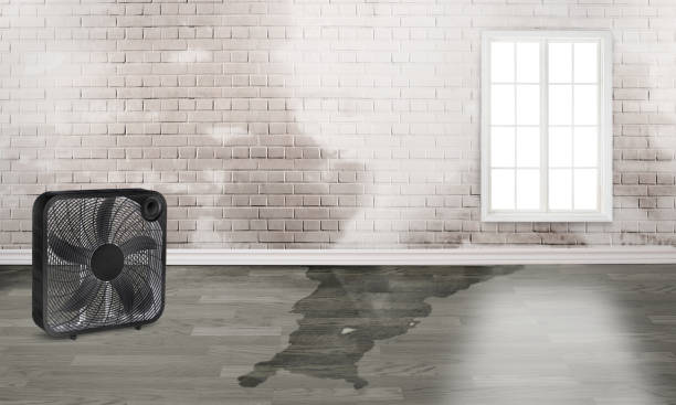 Best Commercial water damage restoration  in Passaic, NJ