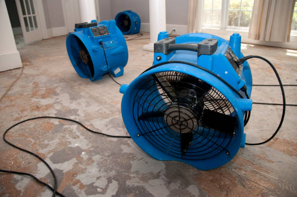 Best Water damage restoration near me  in Passaic, NJ