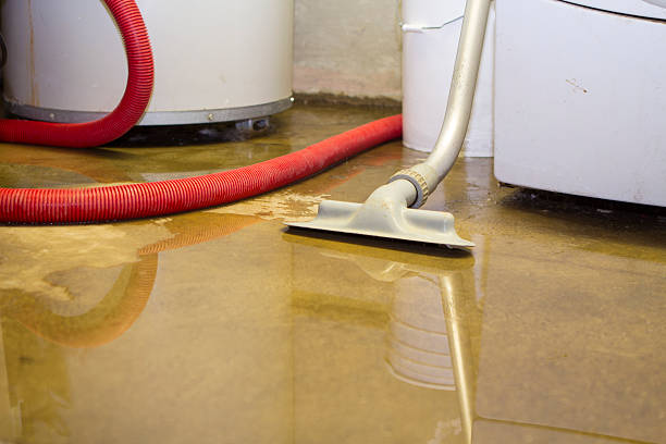 Best Water damage restoration process  in Passaic, NJ