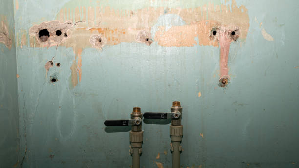 Best Water damage restoration services  in Passaic, NJ