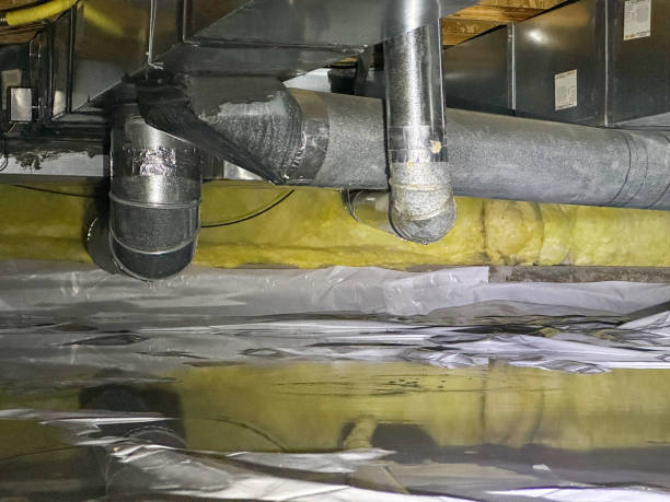 Best Professional water damage repair  in Passaic, NJ