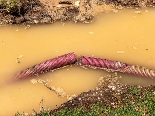 Best Emergency water damage restoration  in Passaic, NJ